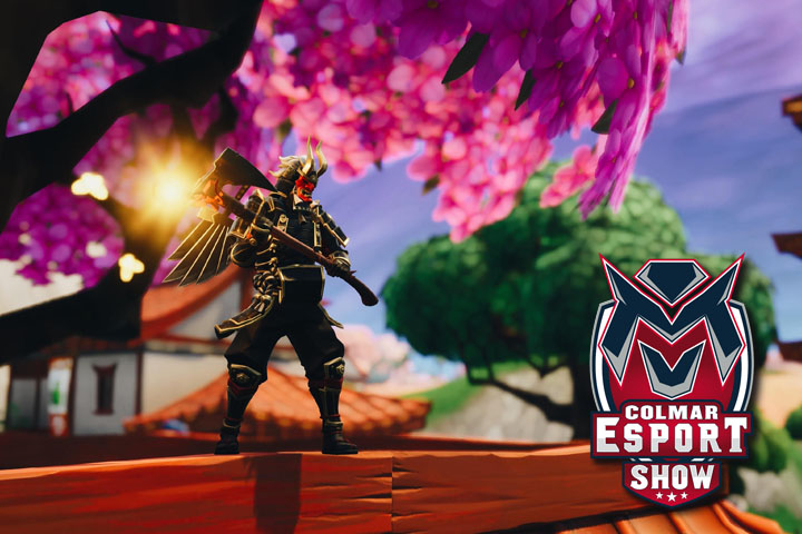 Colmar Show : Tournoi Fortnite, infos, résultats et classement